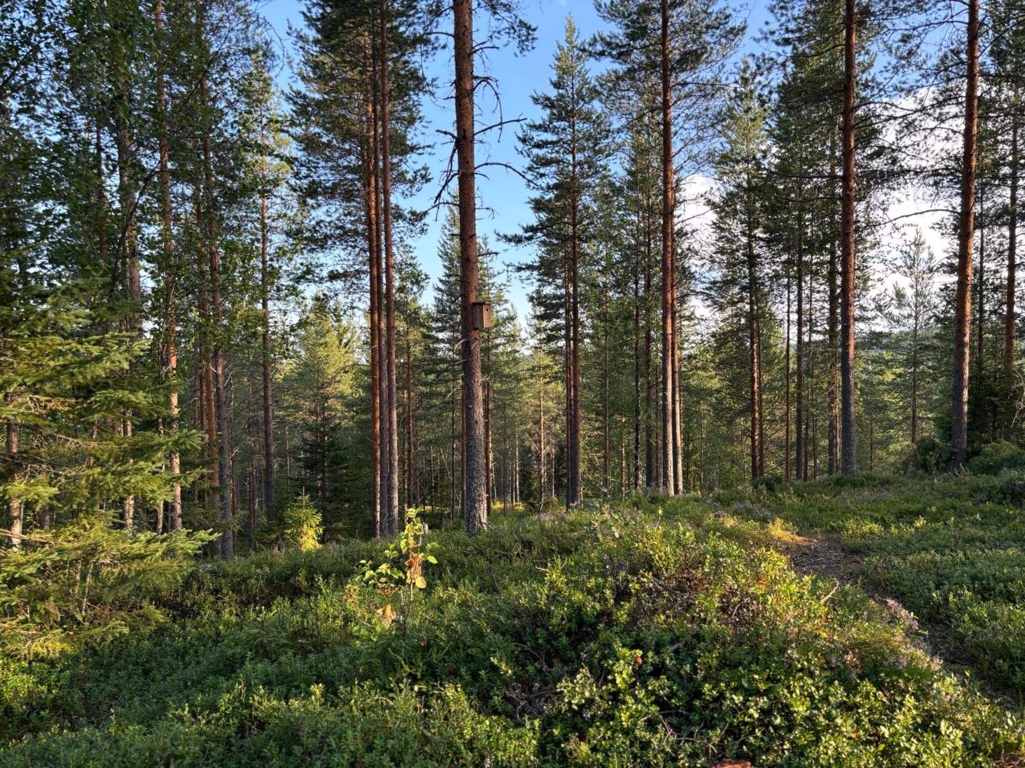 Loppiaiskaari 5, Paljakka Puolanka Exterior photo